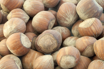 hazelnuts