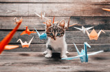 Cute kitten sitting among paper origami cranes