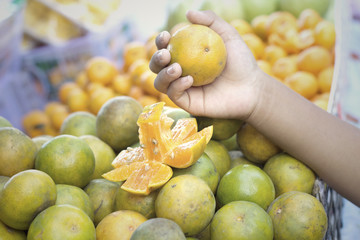 Oranges fruits at the market