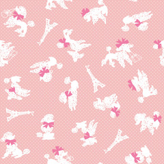 イヌのパターン