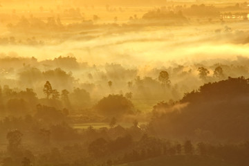 Morning Mist at Tropical Mountain Range