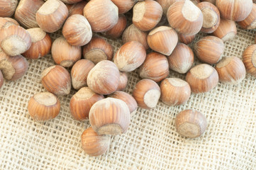 hazelnuts