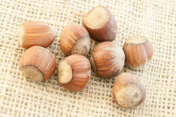 hazelnuts