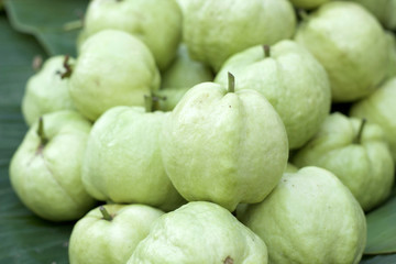 Guava fruit in the market