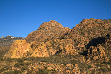 Fototapeta na wymiar Tucson's Catalina State Park