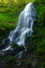 waterfall in forest