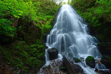 Foto op Plexiglas waterfall in forest © porbital