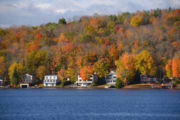 Fototapeta premium vermont fall foliage