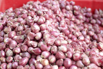 Shallot - asia red onion in the market