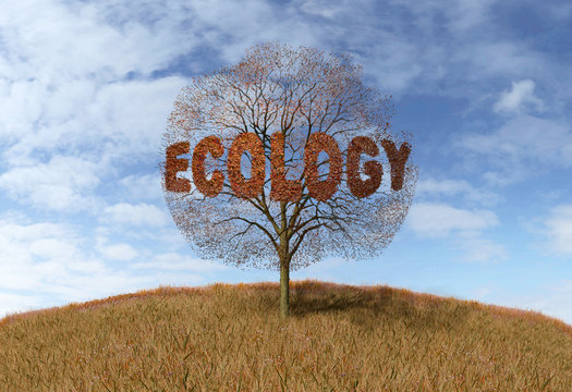 ecology text on a tree