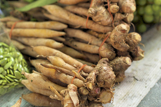 Fresh kaempfer in the market