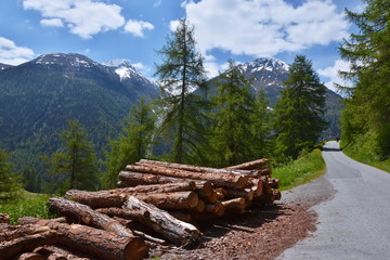 Fototapeta na wymiar Swiss Alps-view of the path to Bos-cha