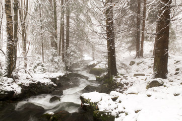 Fototapeta premium Winter river
