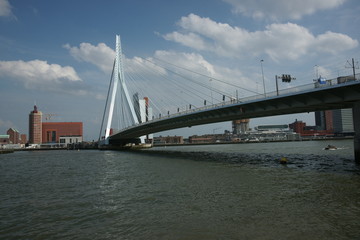 Erasmusbrücke in Rotterdam