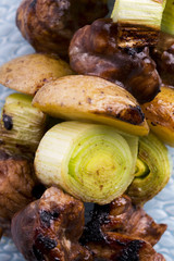 Grilled kebab (shashlik)