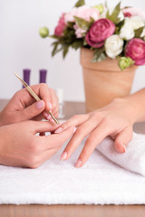 Obraz na płótnie Canvas client and manicurist in manicure salon