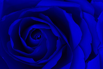 Close up of navy blue rose make from paper,  abstract background