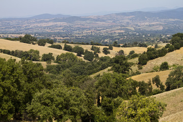 Grossetano, campagna