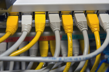 Gelbe und graue Netzwerkkabel