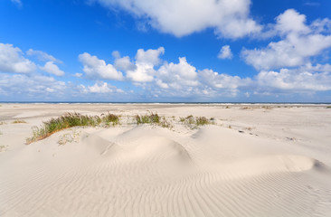sand dunes and blue sky at coast