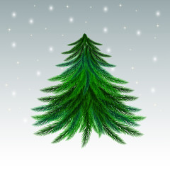 Nice  firtree on  snowing background
