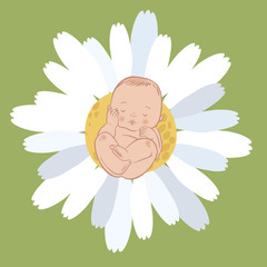 Vector sleeping newborn baby
