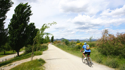 Fototapeta premium Camino en el Delta del Llobregat, Barcelona