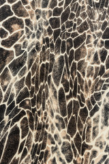 texture of print fabric stripes giraffe