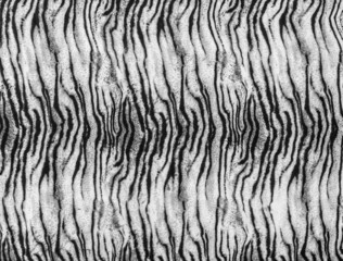 texture of print fabric stripes tiger