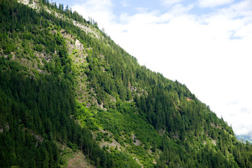 Fototapeta na wymiar Stilluptal - Zillertal - Alpen