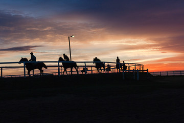 Race Horses Riders Silhouetted Sunrise