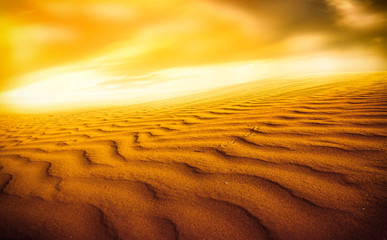 Fototapety  Zachód słońca nad Saharą