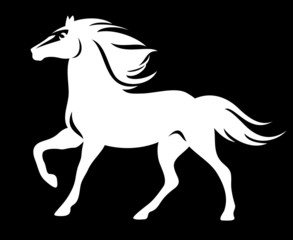 Fototapeta na wymiar white horse on black