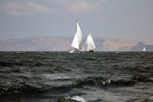 sailing regatta along the coast