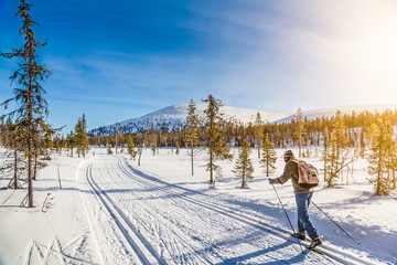 Cross-country skiing in Scandinavian winter landscape at sunset - obrazy, fototapety, plakaty