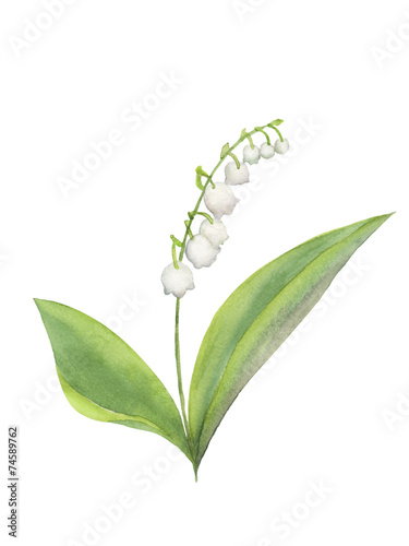 最高の動物画像 心に強く訴えるすずらん イラスト 無料