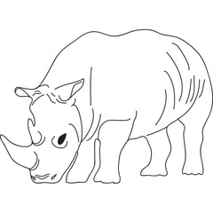 rinoceronte