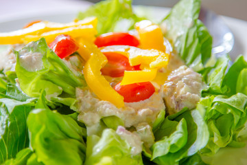 tuna green salad