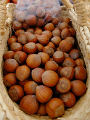 Avellanas