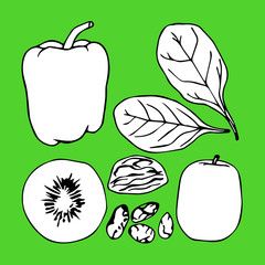 Green contour vegetables set