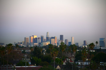Fototapeta premium los angeles downtown