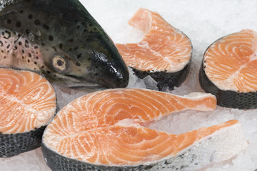 Salmon and few salmon chops on ice