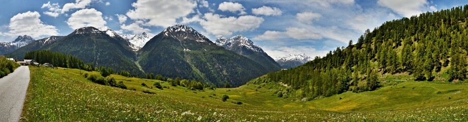 Obraz premium Swiss Alps-panoramic view on way to Bos-cha