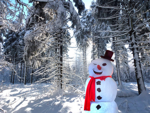 schneemann im erzgebirge