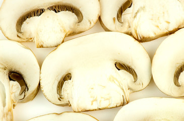 Common mushroom