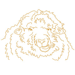 Funny sheep chewing. Vector line drawing