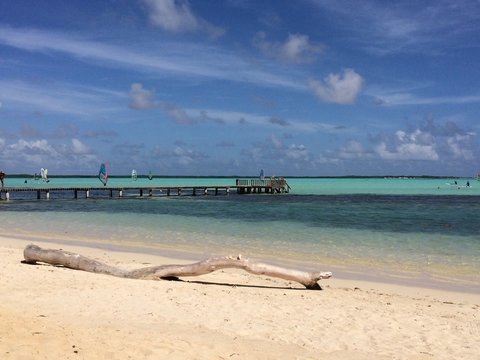 Bonaire Beach