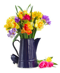 freesia and daffodil  flowers