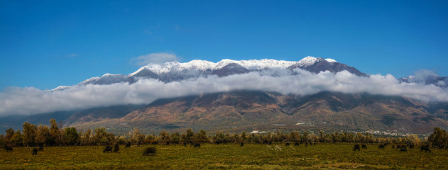 Belasitsa mountain panoramic