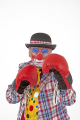 Obraz premium Clown als Boxer